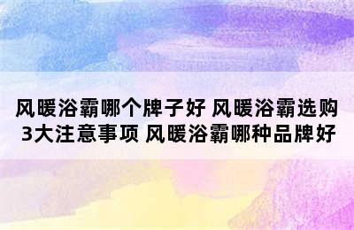 风暖浴霸哪个牌子好 风暖浴霸选购3大注意事项 风暖浴霸哪种品牌好